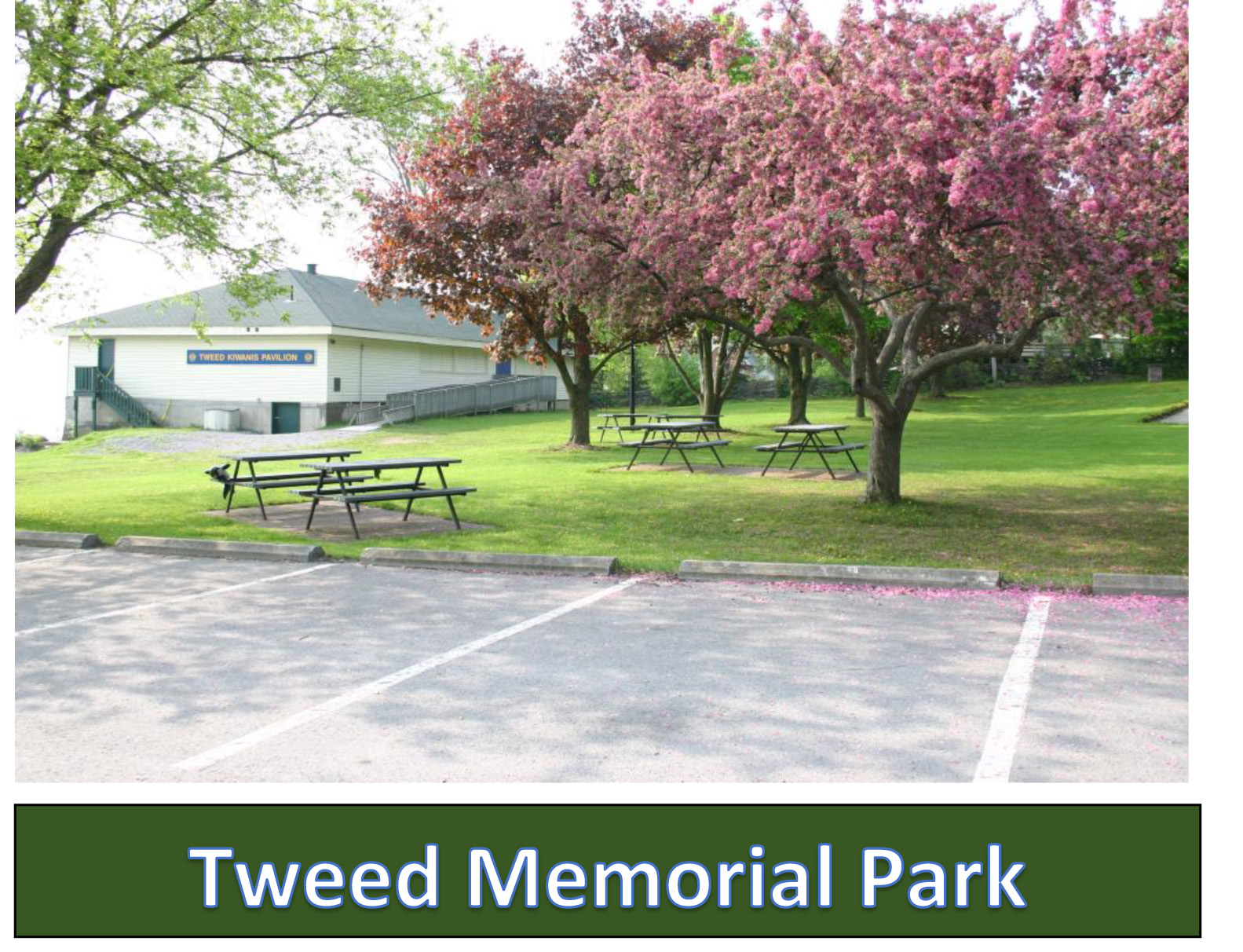 Tweed Memorial