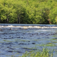 Moira River
